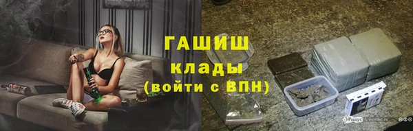 индика Гусиноозёрск