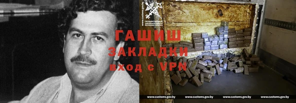 таблы Гусев
