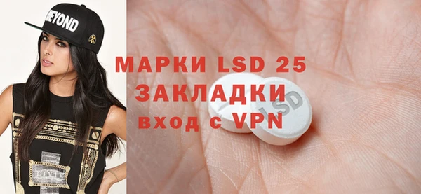 индика Гусиноозёрск