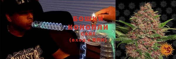 таблы Гусев