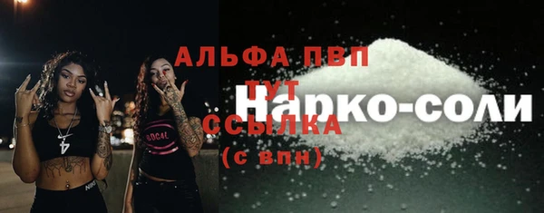 таблы Гусев
