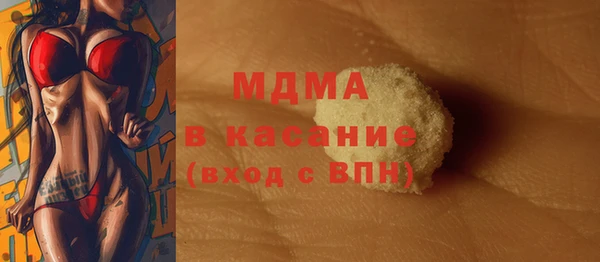 индика Гусиноозёрск