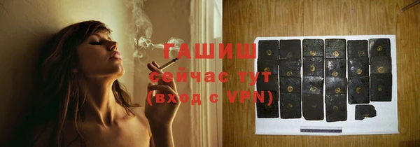 индика Гусиноозёрск