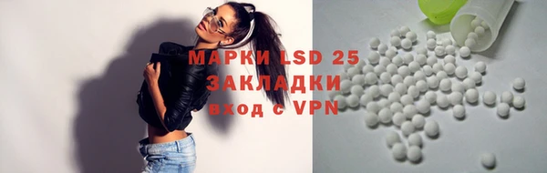 таблы Гусев