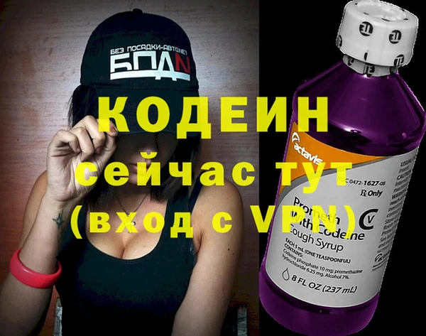 таблы Гусев