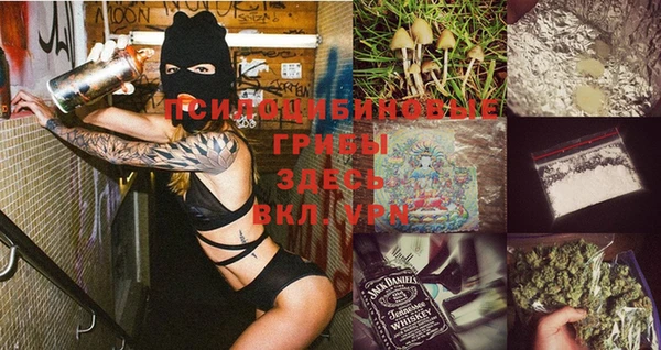 MESCALINE Гусь-Хрустальный