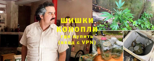 индика Гусиноозёрск