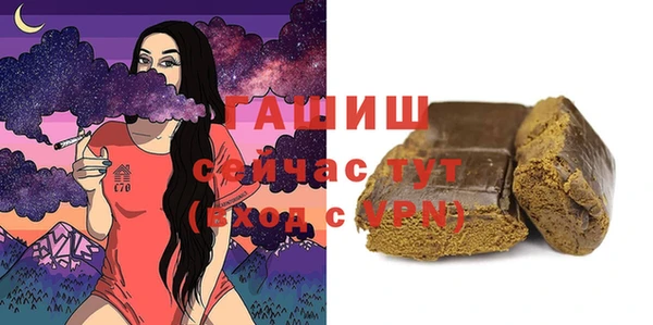 таблы Гусев