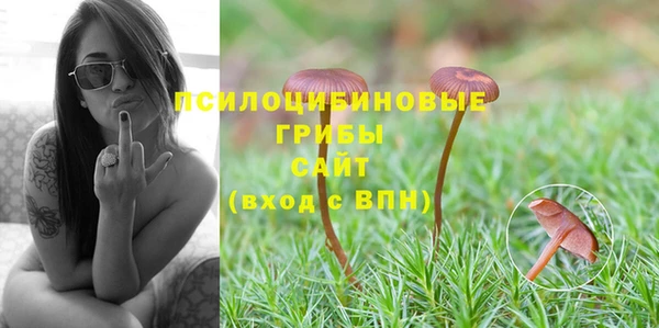 таблы Гусев
