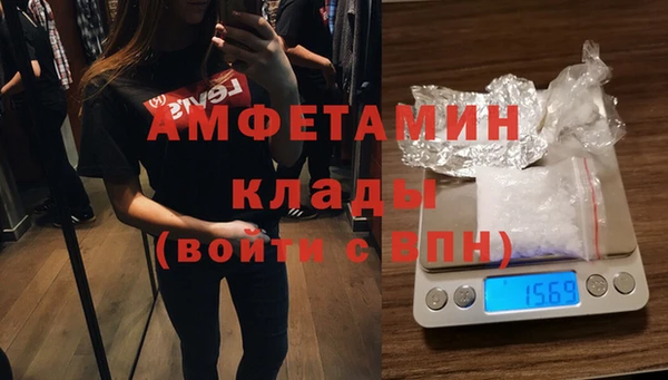 индика Гусиноозёрск