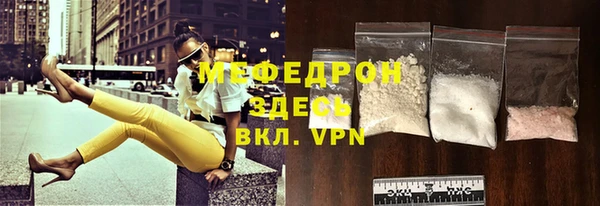 индика Гусиноозёрск