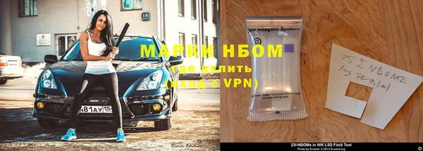 индика Гусиноозёрск