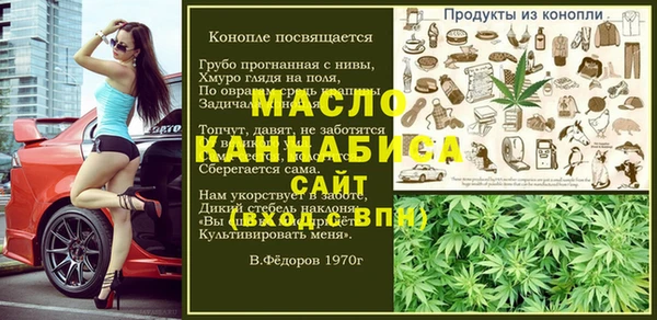 индика Гусиноозёрск